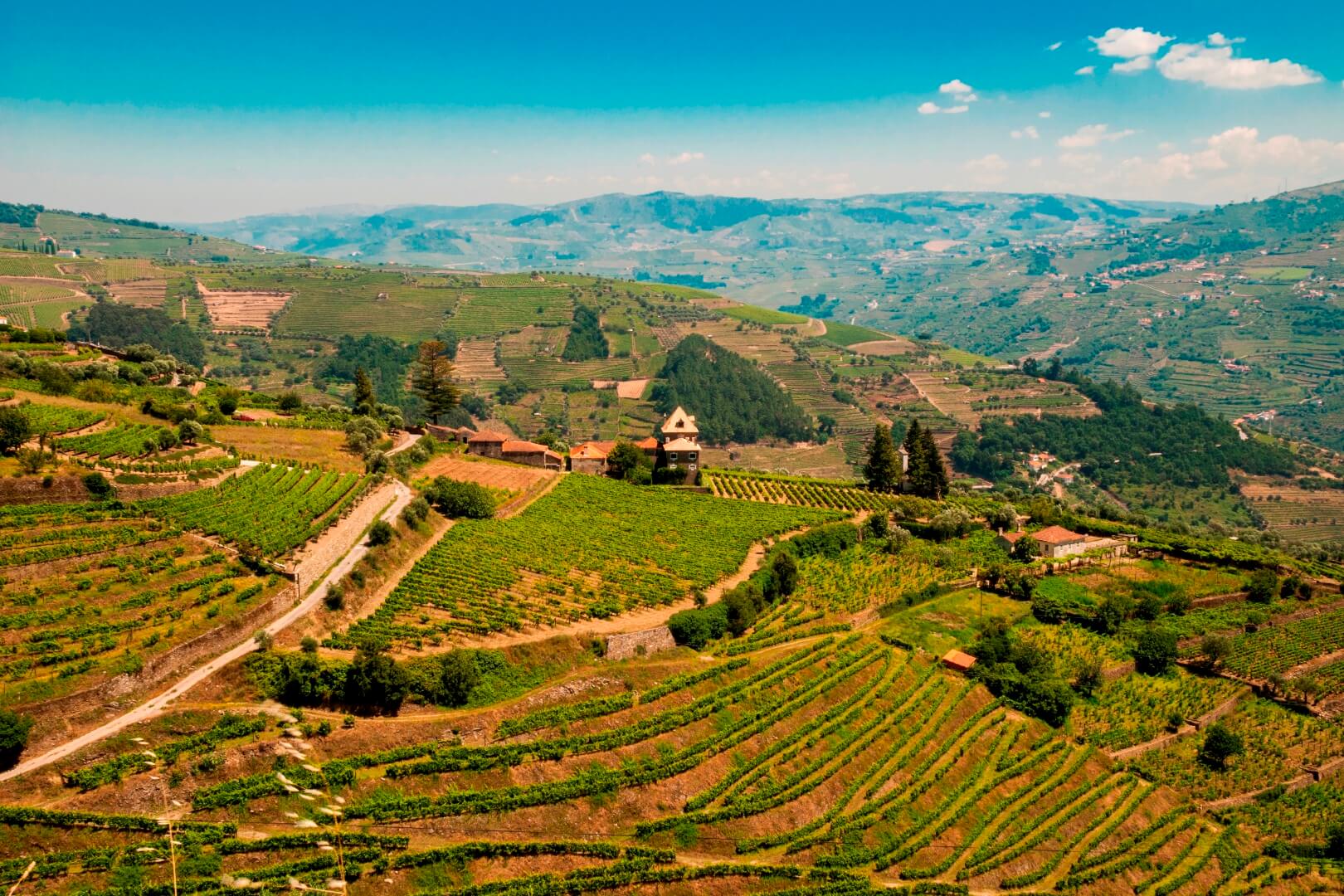 DOURO VALLEY WINE-GROWING AREA PORTUGAL REAL ESTATE | Douro Superior Porto, Cima Corgo, Baixo Corgo